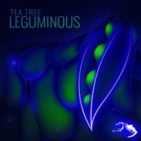 Tea Tree - 2018 - Leguminous (FLAC)