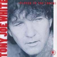 Tony Joe White - Closer To The Truth 1991 FLAC