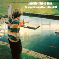 Jim Blomfield Trio - Strange Beauty (Every Way OK) 2021 FLAC