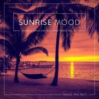 VA - Sunrise Mood, Vol. 10 (2017)