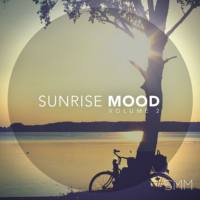 VA - Sunrise Mood, Vol. 2 (2016)