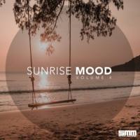 VA - Sunrise Mood, Vol. 4 (2017)