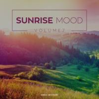 VA - Sunrise Mood, Vol. 7 (2017)