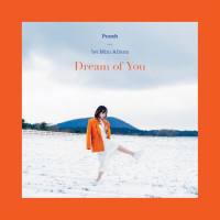 Punch - Dream of You (2019) FLAC