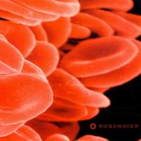 Rosewater - Bloodcount (2006) FLAC
