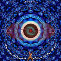 Ariel Kalma - Ambient Zeitgeist - Spirit of the Times 2020 Hi-Res