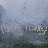 Pumping Flamingo - Cloudy Mountains (2021) HD