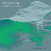 VA - From Within 2021 FLAC