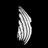 Kmru - Logue 2021 Hi-Res