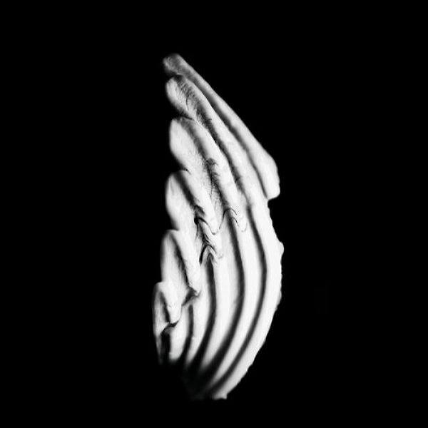 Kmru - Logue 2021 Hi-Res