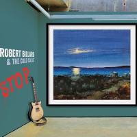 Robert Billard and the Cold Calls - Stop. (2021) FLAC