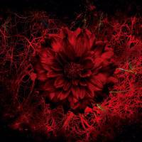 MIGMA SHELTER - Names 2019 Hi-Res