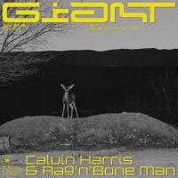 Calvin Harris & Rag’n’Bone Man - Giant [24-44,1] 2019