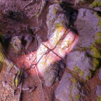 James Rushford - Lake from the Louvers FLAC (24bit-48kHz)