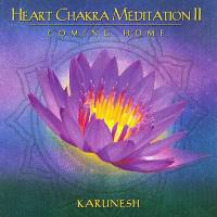 Karunesh - Heart Chakra Meditation II 2009 FLAC