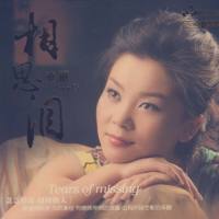 童丽 《相思泪 24K金碟》2011年[正版原抓WAV]