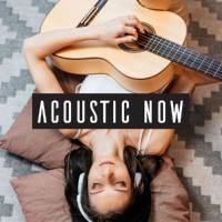 VA - Acoustic Now (2021) FLAC