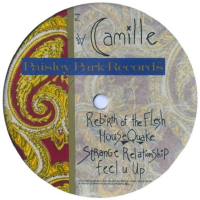 Prince - Camille 1986 FLAC