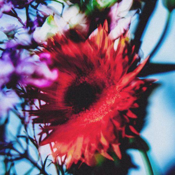 Kaktus Einarsson - Ocean's Heart (2021) HD