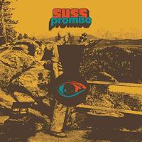 SUSS - Promise 2021 FLAC