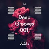 VA - Deep Grooves 001 2021 FLAC