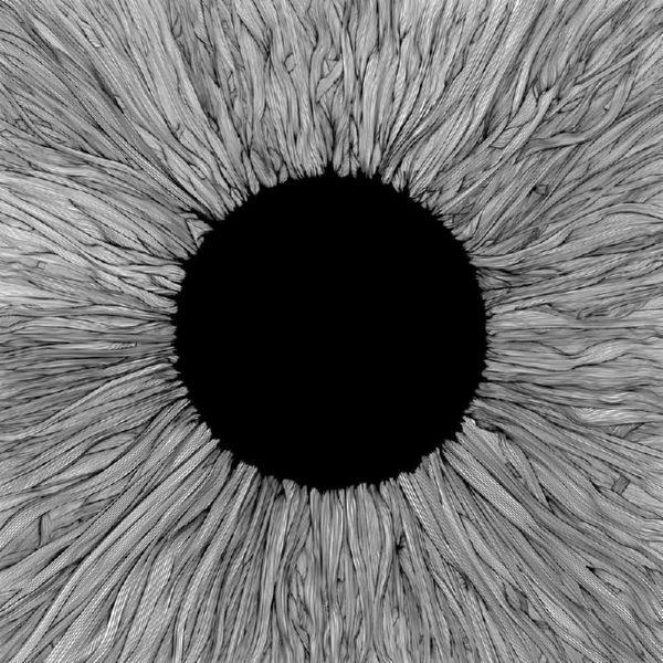 Vola - Witness (2021) FLAC