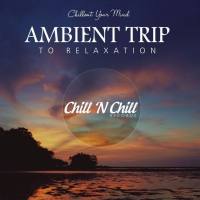 VA - Ambient Trip to Relaxation 2021 FLAC