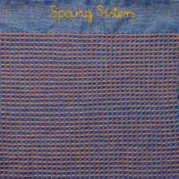 Spang Sisters - Spang Sisters (2021) FLAC