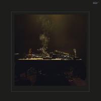 Fran?ois J. Bonnet - Cylene Suisse Redux FLAC (24bit-48kHz)