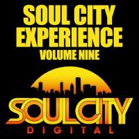 VA - Soul City Experience, Vol. 9 2021 FLAC