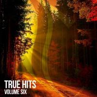 True Hits Vol 6 (2021) FLAC