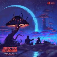 Infected Mushroom - Head of NASA and the 2 Amish Boys (2018) FLAC