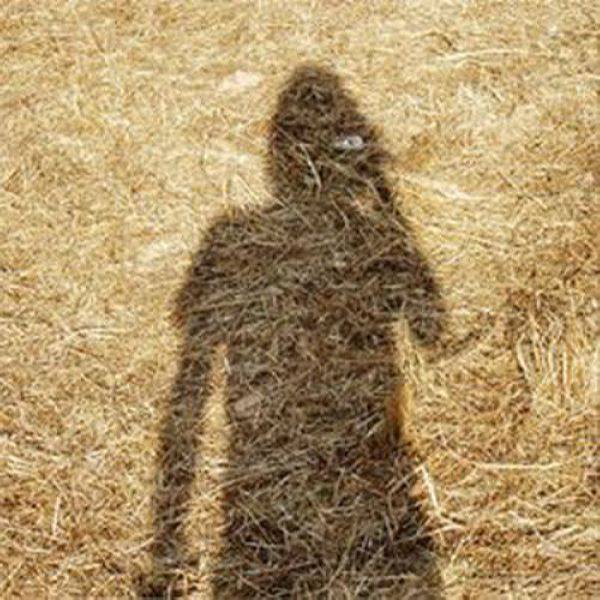 Steven Wilson - Unreleased Electronic Music Vol. 1 (2004, Reissue 2017) FLAC