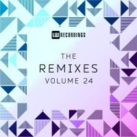 VA - The Remixes, Vol. 24 2021 FLAC