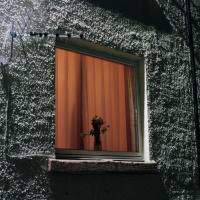 Wyldest - Monthly Friend (2021) HD