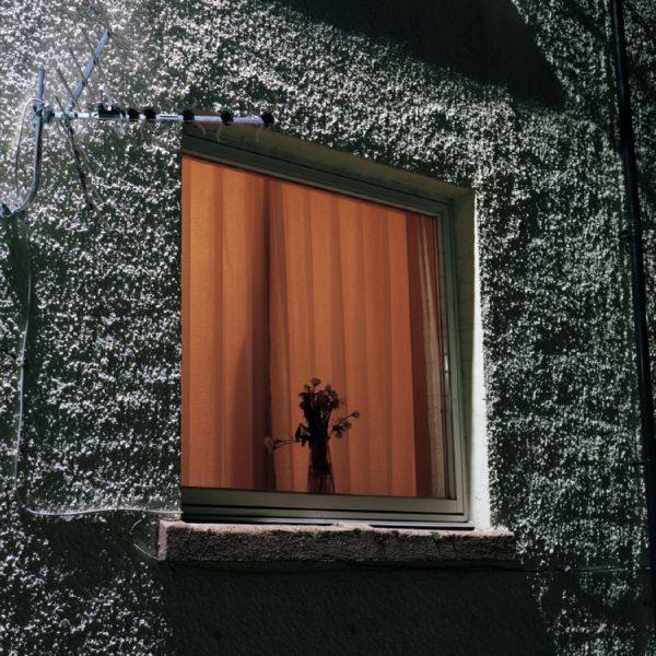 Wyldest - Monthly Friend (2021) HD