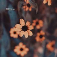 Pheek - Sensibili 2021 FLAC