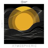 VA - Voltaire Music Pres. Atmospheric, Vol. 14