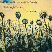 Delia Derbyshire Appreciation Society - She Brought the Sun (2019) [.flac lossless]
