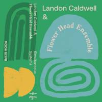 Landon Caldwell - Simultaneous Systems (2021) [.flac lossless]