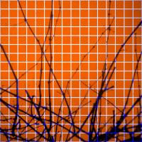 Tapage - Recover (2021) WEB FLAC-24Bit