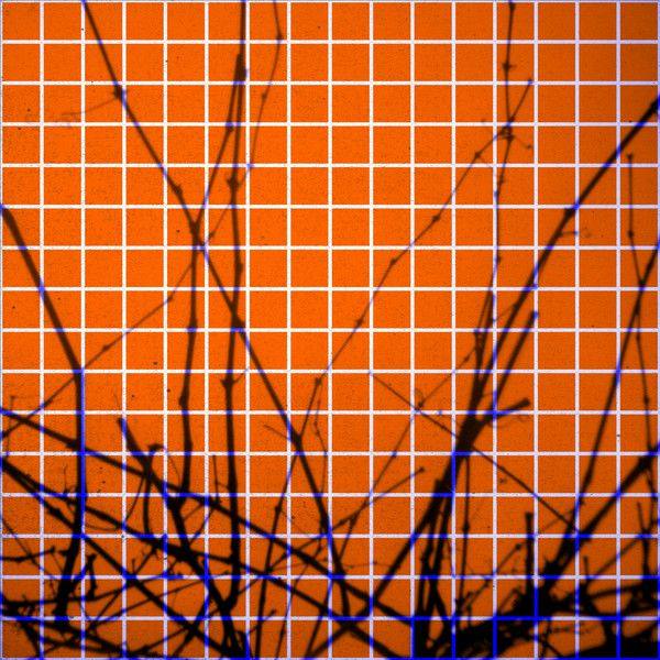 Tapage - Recover (2021) WEB FLAC-24Bit