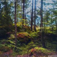 Waldrand - Edge of the Forest 2021 FLAC