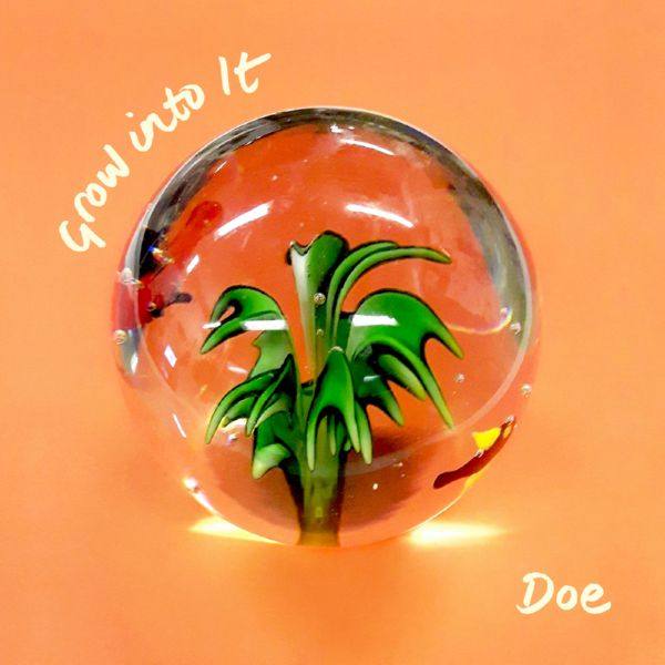 Doe - 2018 - Grow into It (FLAC)