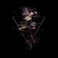 Natalia Clavier - 2018 - Trans (FLAC)