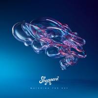 Sheppard - 2018 - Watching the Sky (FLAC)