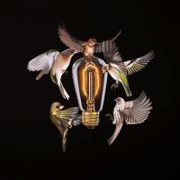 The Collection - 2018 - Entropy (FLAC)