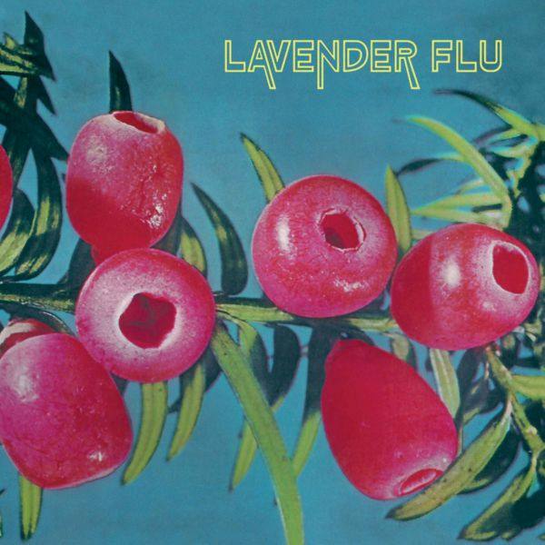 The Lavender Flu - 2018 - Mow the Glass (FLAC)