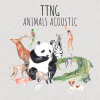 TTNG - 2018 - Animals Acoustic (FLAC)