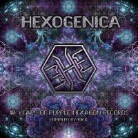VA - 2018 - Hexogenica (FLAC)